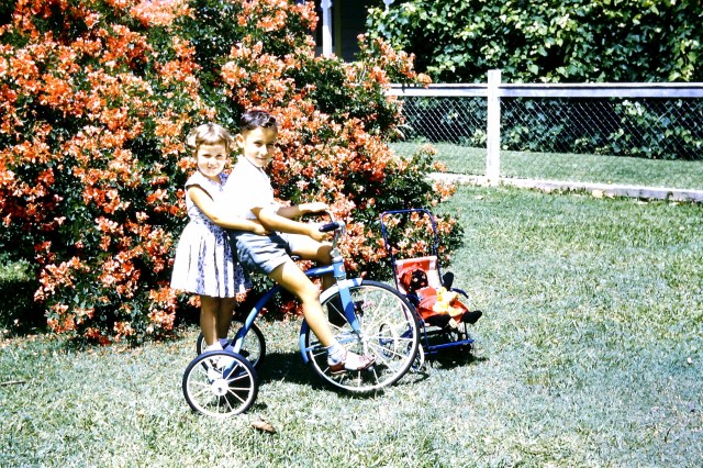 © irene waters 2014