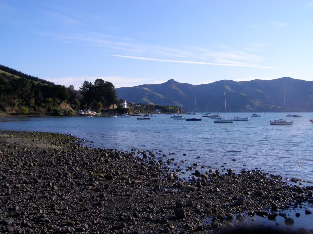 © irene waters 2014