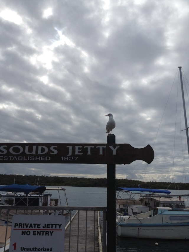 © irene waters 2014