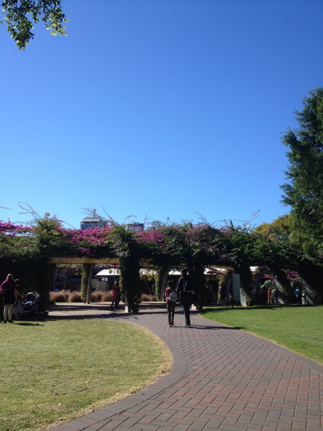 © irene waters 2014