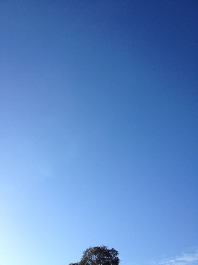 © irene waters 2014