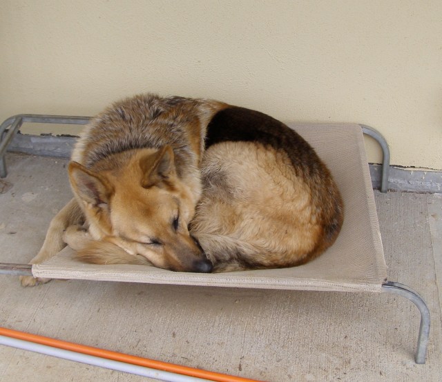 © irene waters 2014