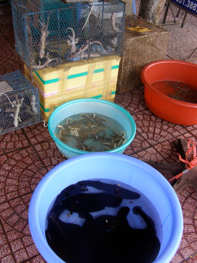 © irene waters 2014