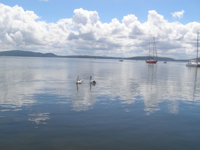 © irene waters 2014