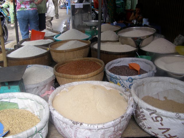 © irene waters 2014