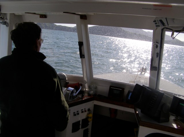 © irene waters 2014