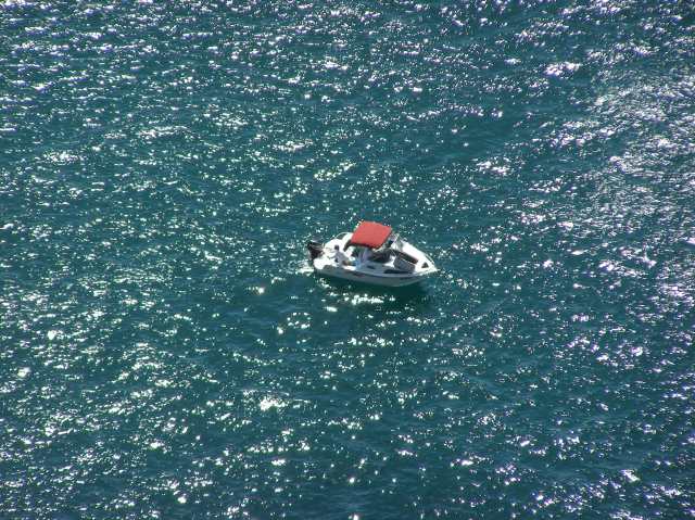 © irene waters 2014