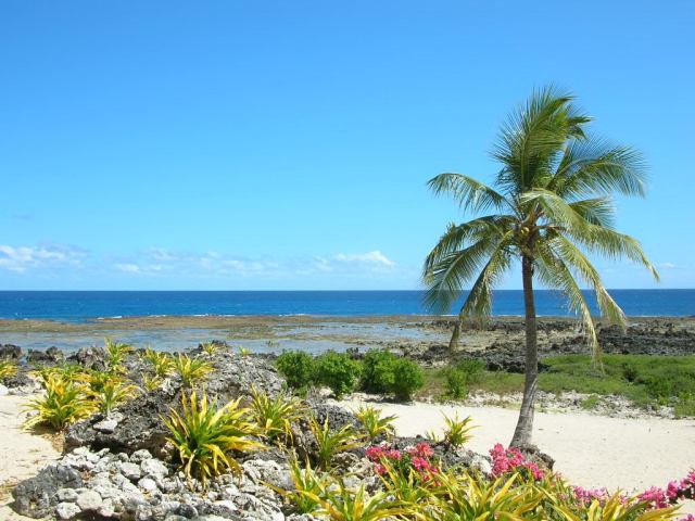 © irene waters 2014