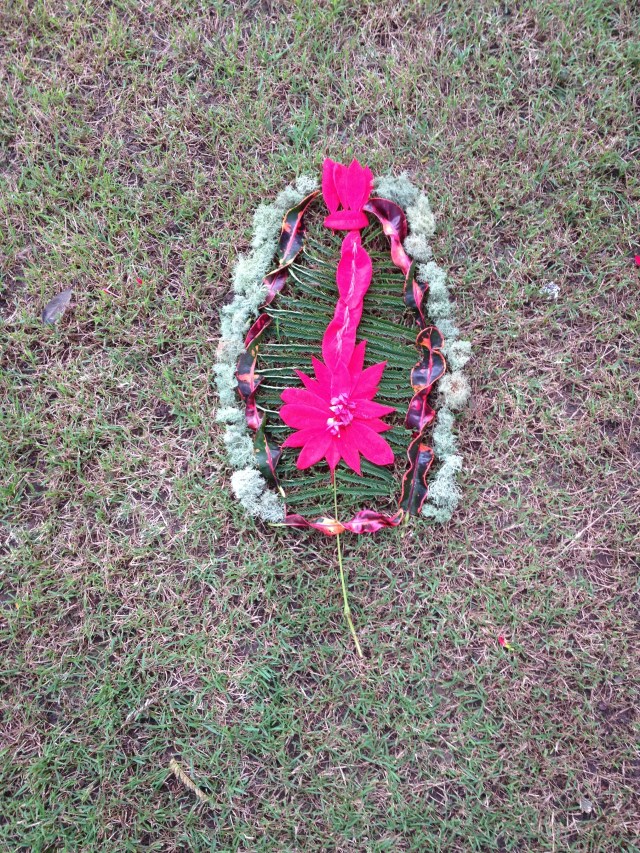 © irene waters 2014