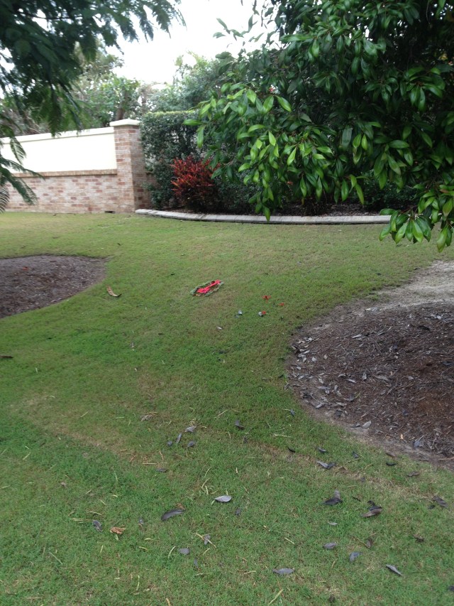 © irene waters 2014