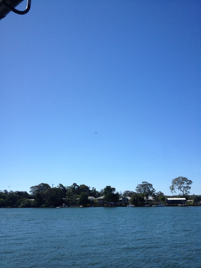 © irene waters 2014