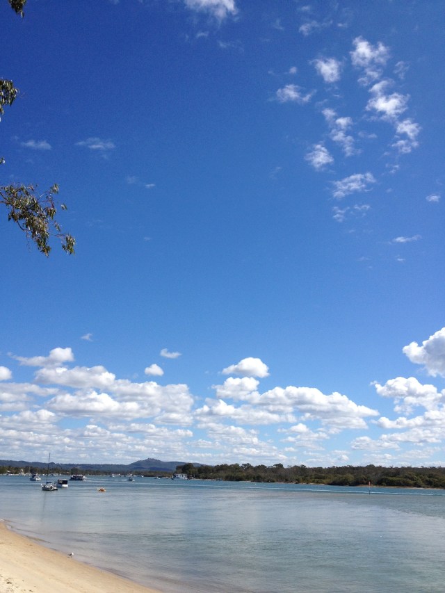 © irene waters 2014