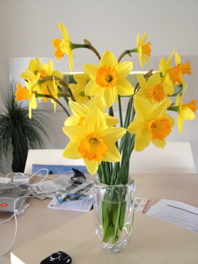 © irene waters 2014