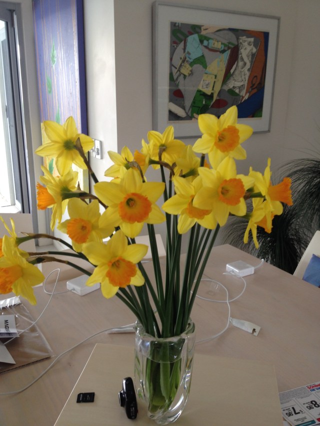 © irene waters 2014