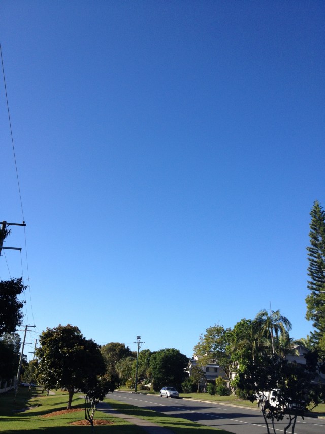 © irene waters 2014