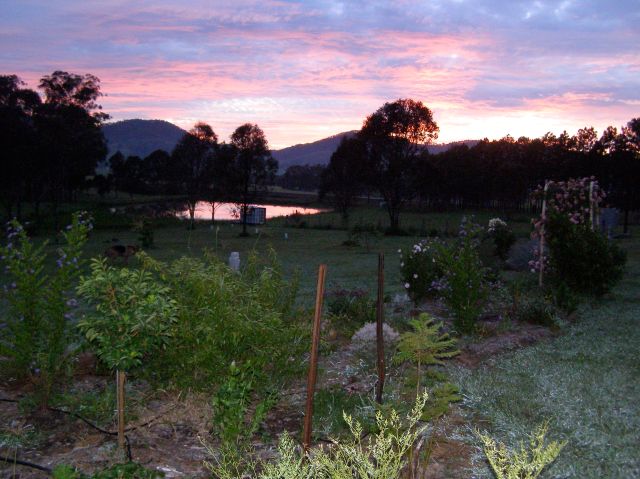 © irene waters 2014