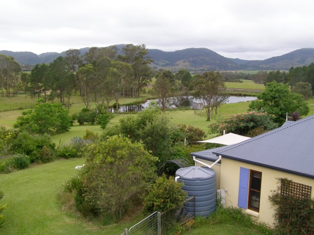 © irene waters 2014