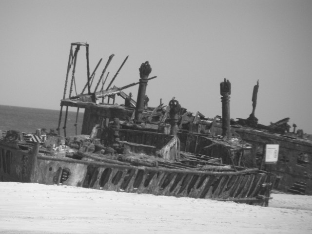 © irene waters 2014