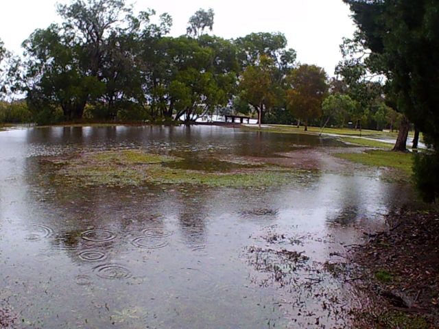 © irene waters 2014