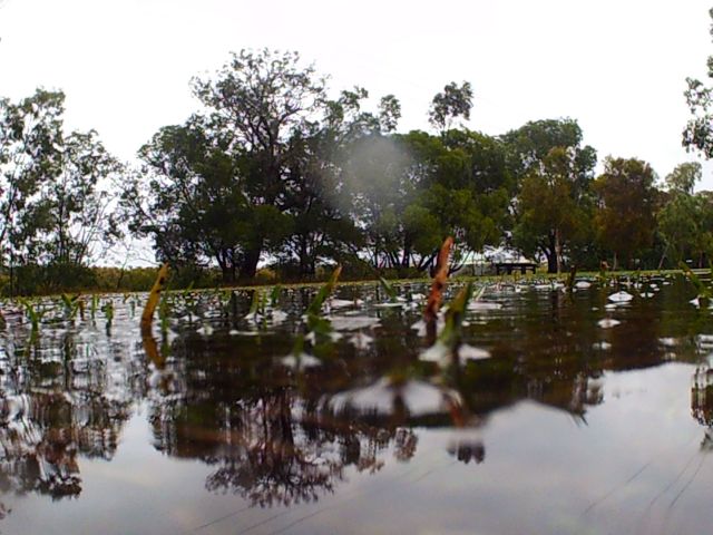 © irene waters 2014