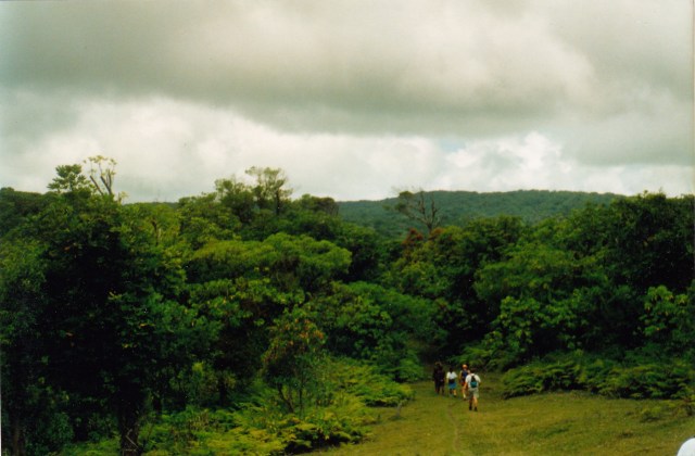 © irene waters 2014