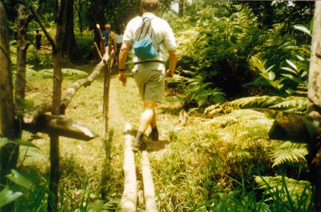 © irene waters 2014