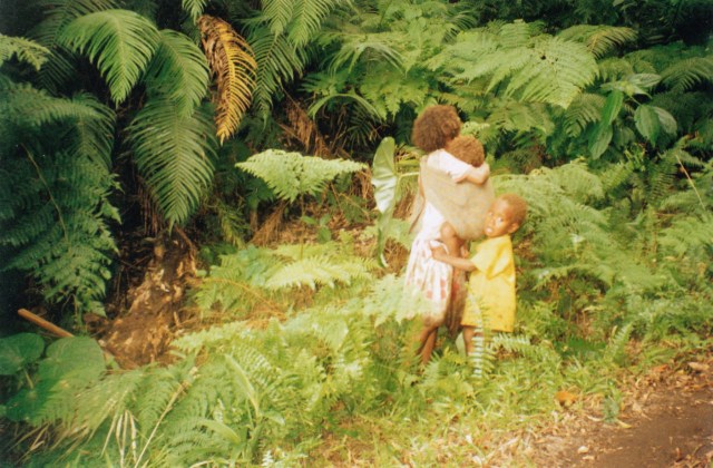 © irene waters 2014