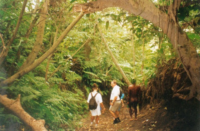 © irene waters 2014