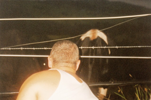 © irene waters 2014