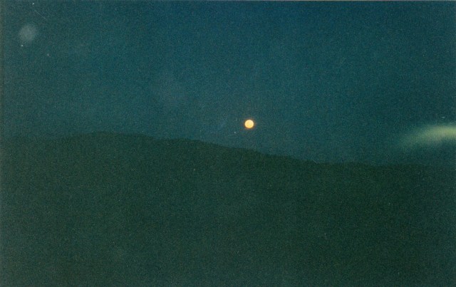 © irene waters 2014