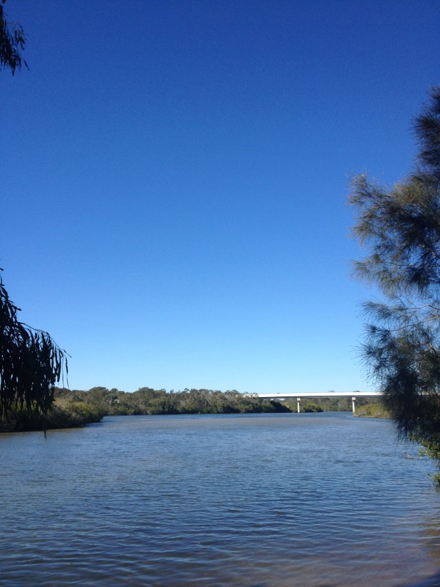 © irene waters 2014