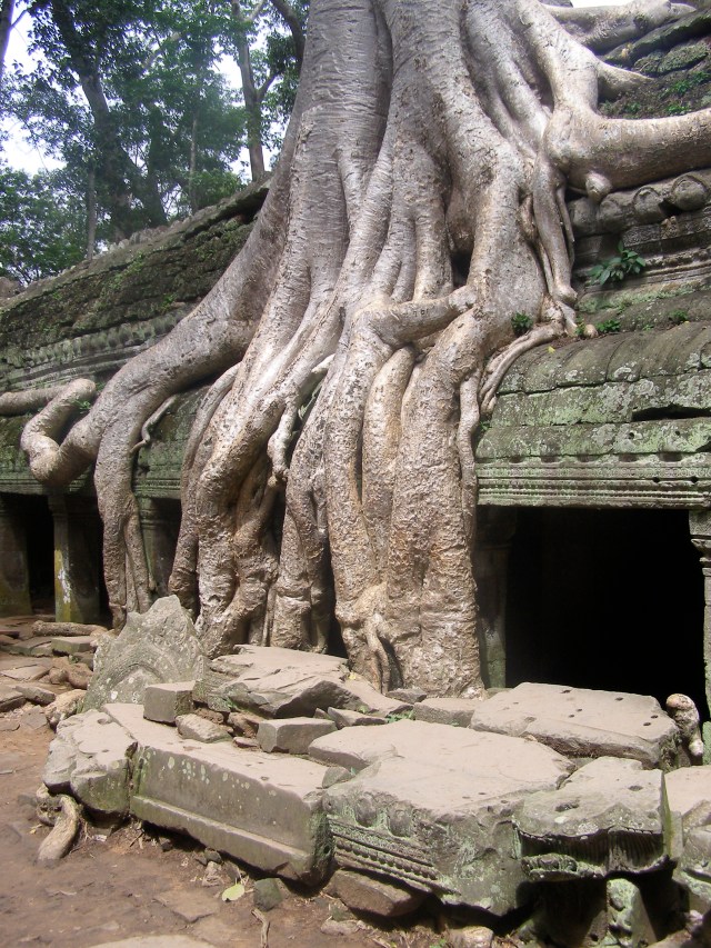 © irene waters 2014