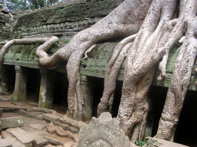 © irene waters 2014