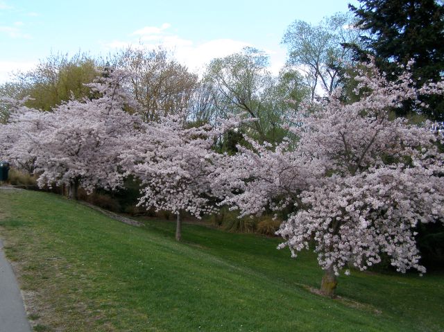 © irene waters 2014