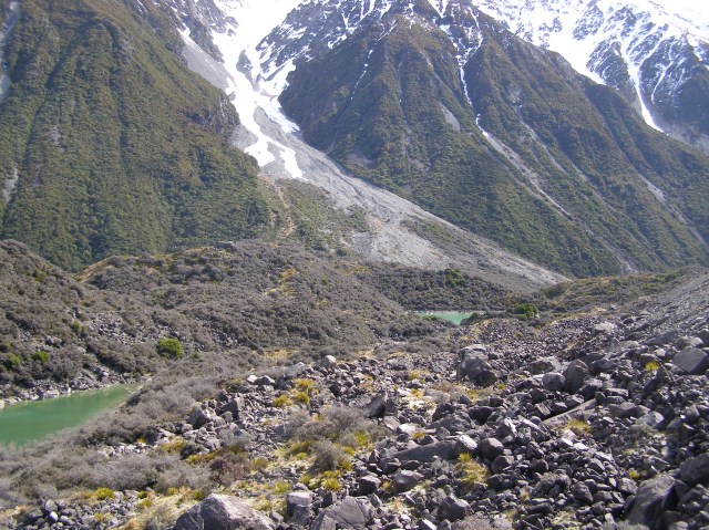 © irene waters 2014