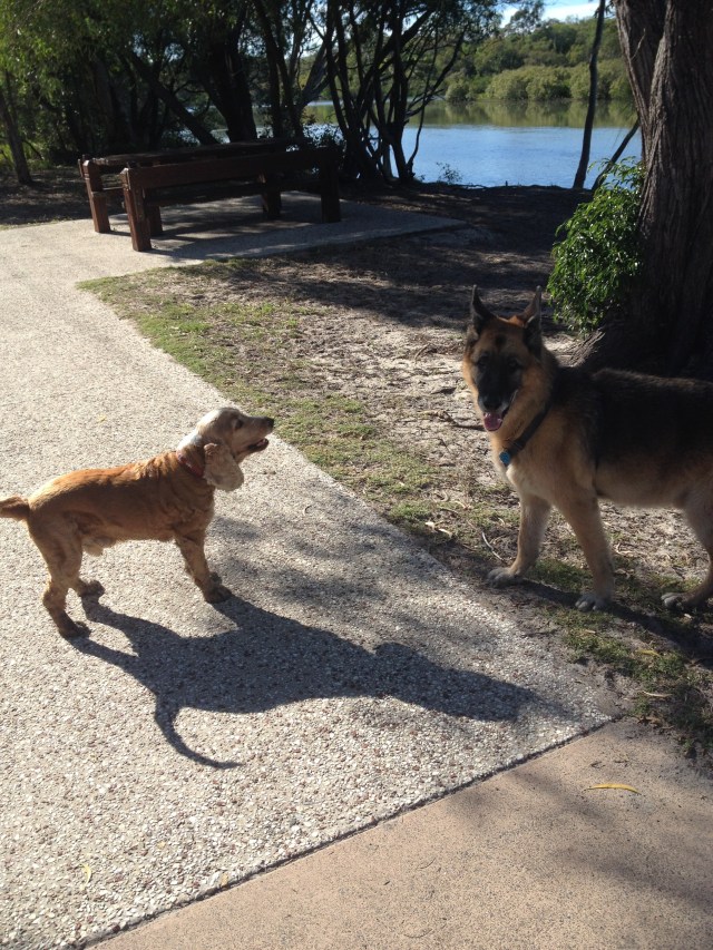 © irene waters 2014