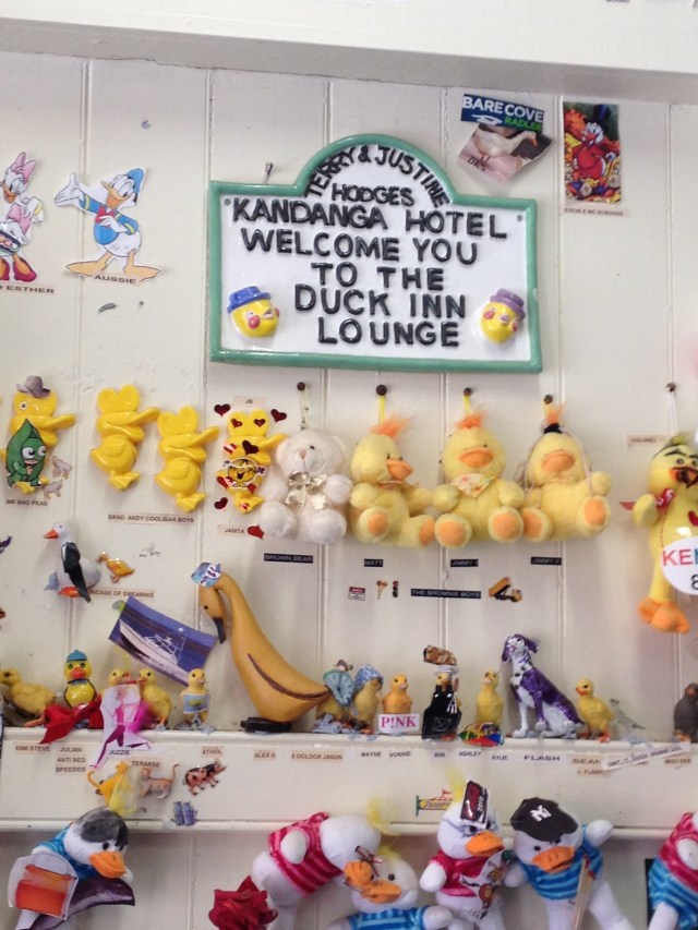 © irene waters 2014