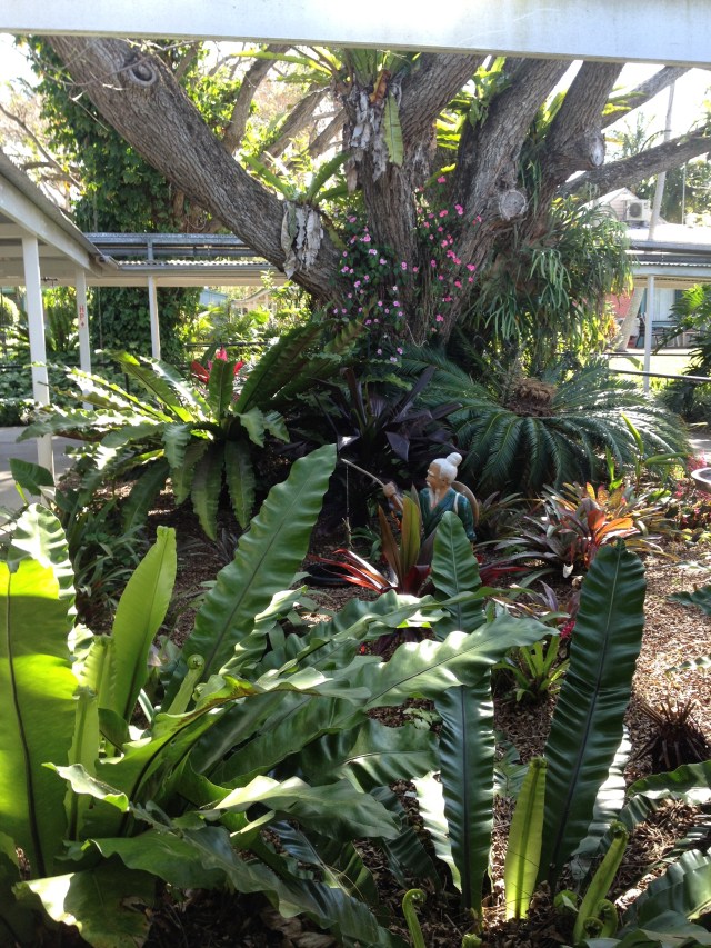 © irene waters 2014