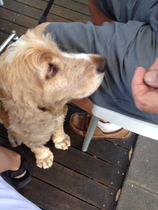 © irene waters 2014