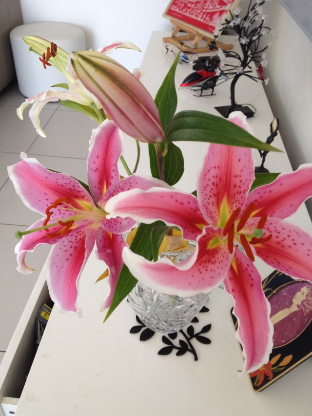 © irene waters 2014