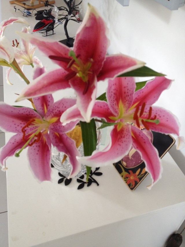 © irene waters 2014