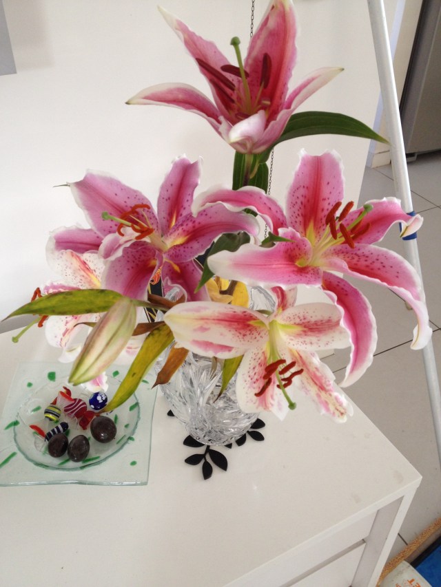 © irene waters 2014