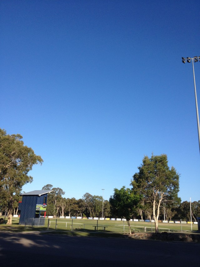 © irene waters 2014