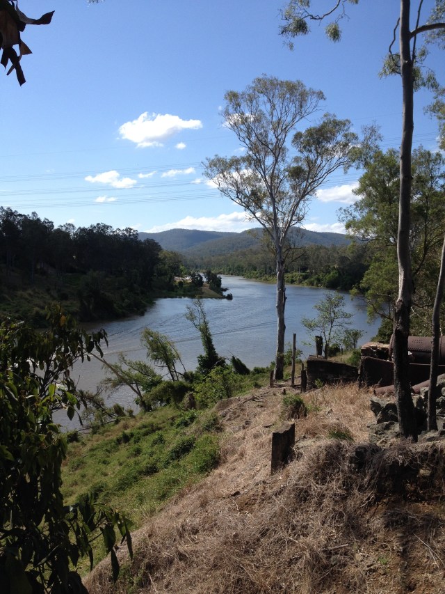 © irene waters 2014