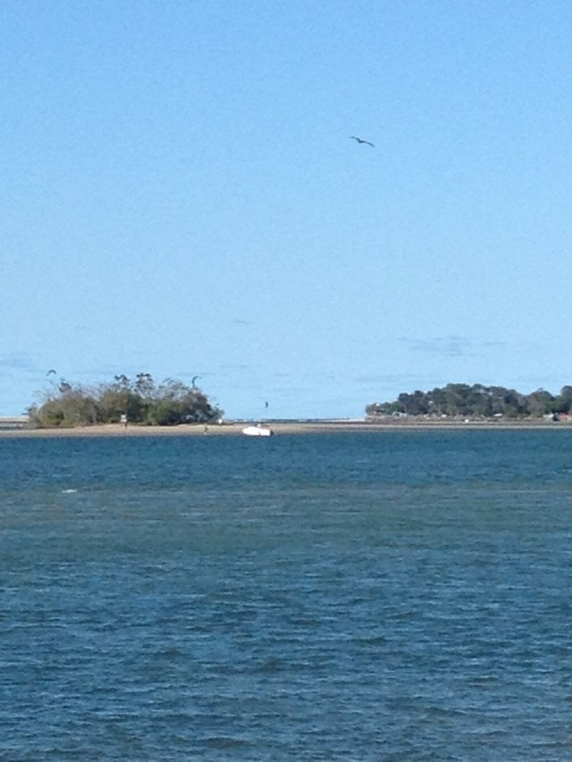 © irene waters 2014 East