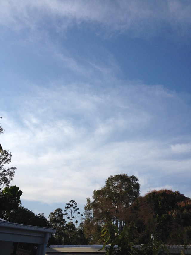 © irene waters 2014