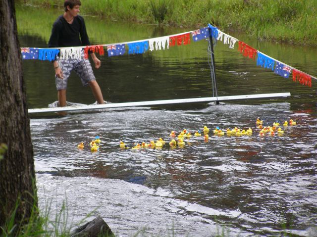 © irene waters 2014