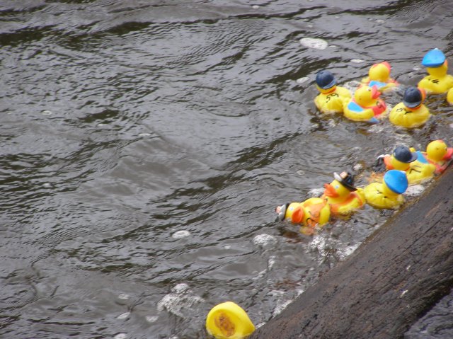 © irene waters 2014