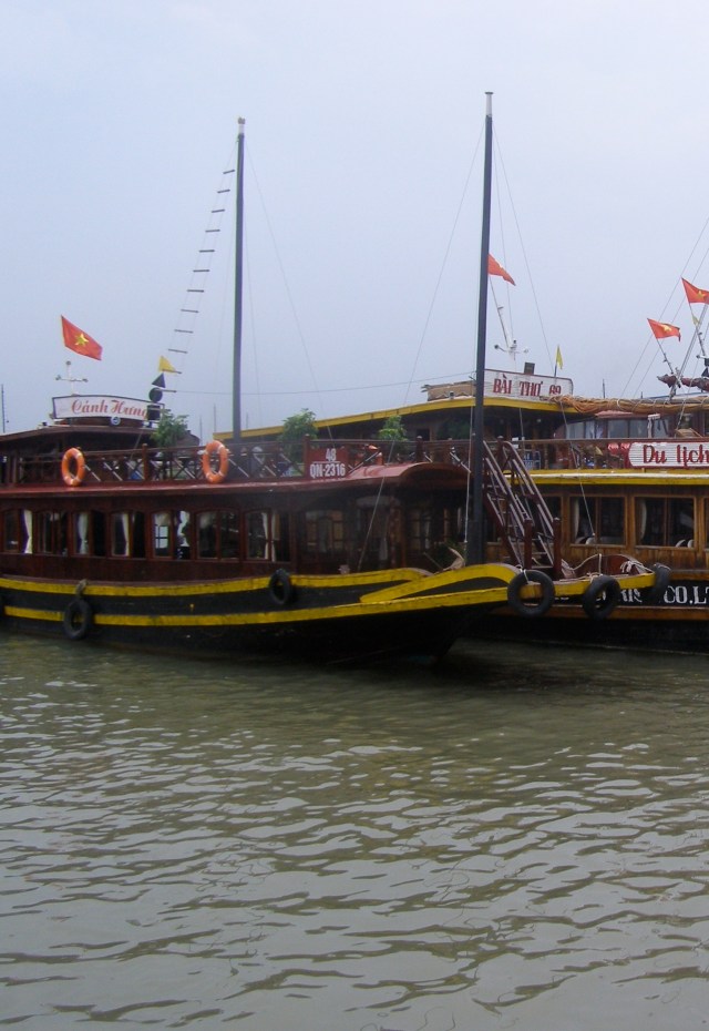 © irene waters 2014