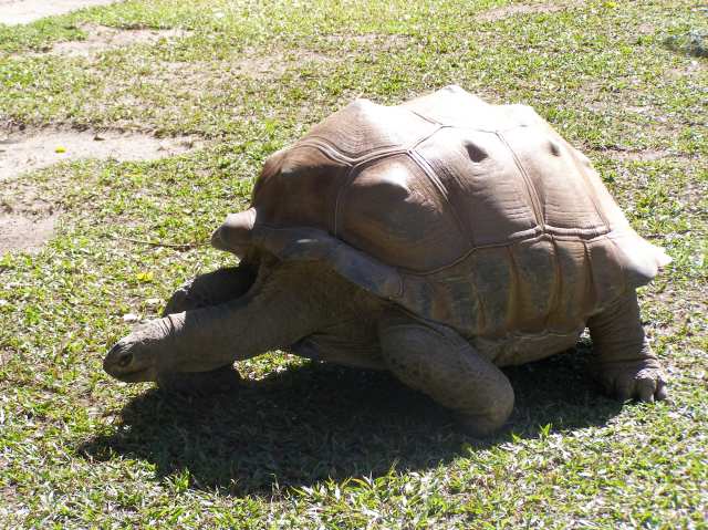 © irene waters 2014